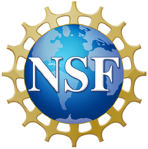 NSF logo